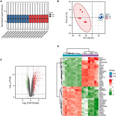 Inflammation-related genes and immune infiltration landscape identified in kainite-induced temporal lobe epilepsy based on integrated bioinformatics analysis